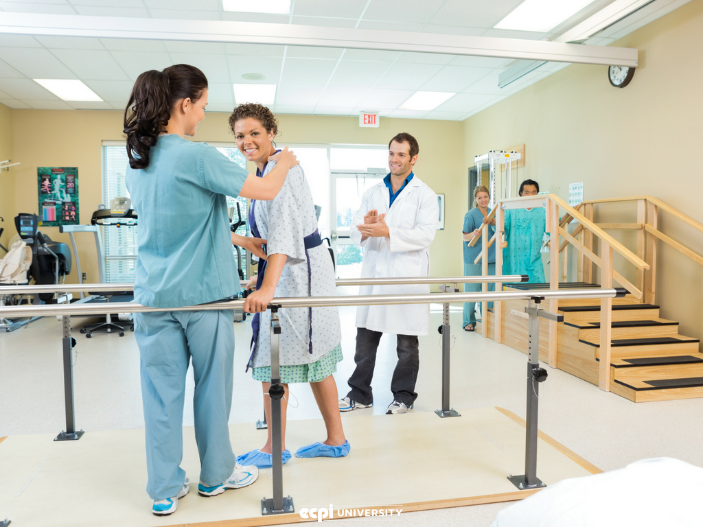 Physical therapy administrative jobs
